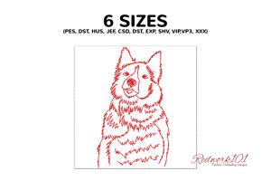 Faroese Sheepdog Portrait