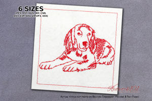 Relaxed German Longhaired Pointer