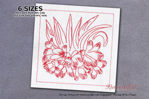 Cute Kaffir Lily Flower