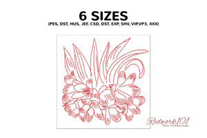 Cute Kaffir Lily Flower