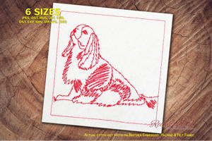 Tired Cavalier King Charles Spaniel