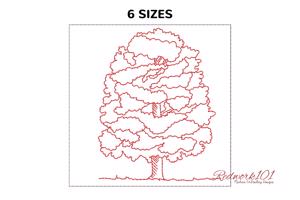 Chestnut Tree