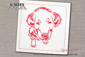 Head of a Friendly Dog