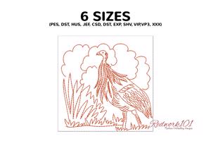 Galloanserae Bird