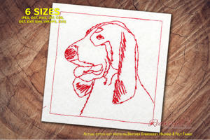 Head of a Gascon Saintongeois Hound