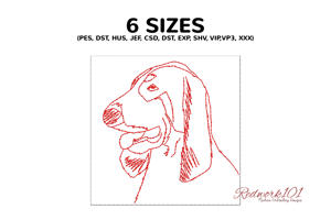 Head of a Gascon Saintongeois Hound