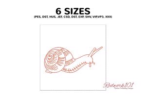 Snail Walking on Grass