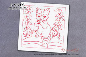 Adorable Raccoon On The Ground