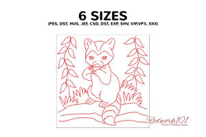 Adorable Raccoon On The Ground