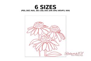 Fresh coneflower