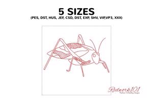 Tettigoniidae
