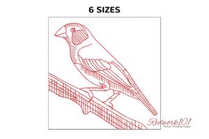 Finche Bird