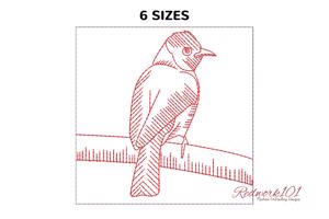 African Red-Eyed Bulbul