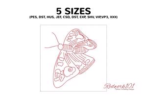 Lepidoptera
