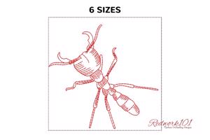 Aafari Ant