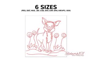 Cute dog of breed Chihuahua