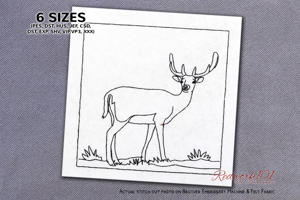 Adorable European Fallow Deer
