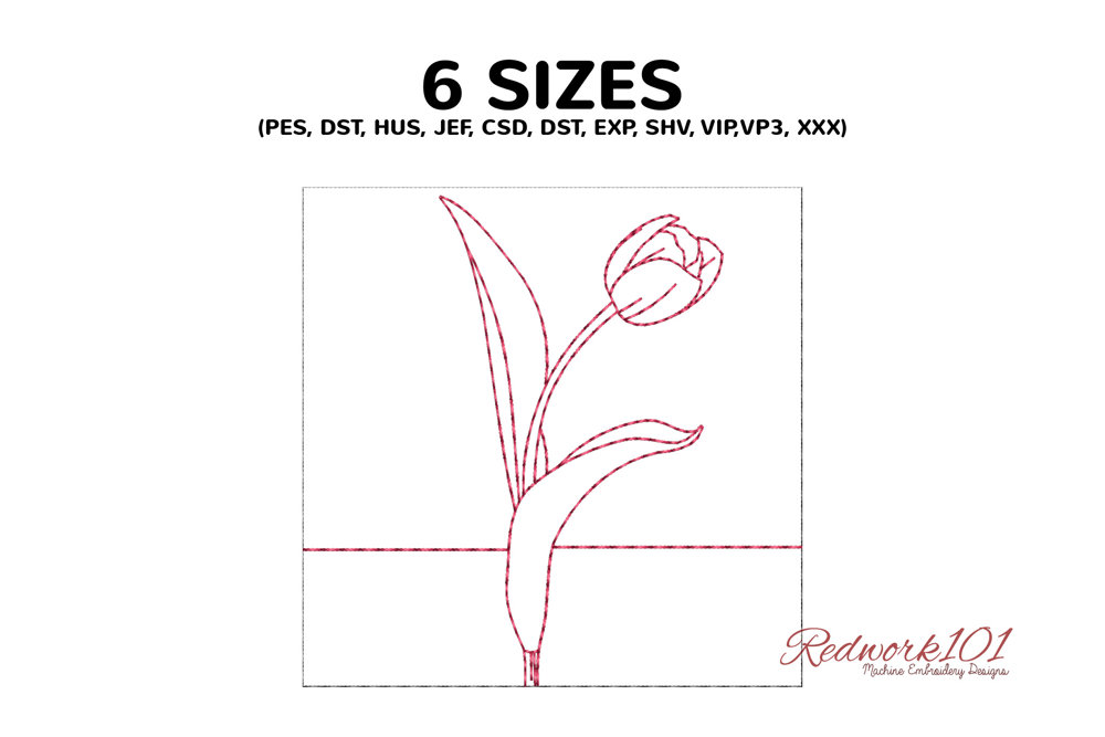 Tranquil Tulip