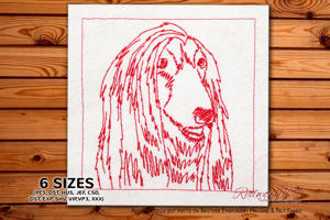 Afghan Hound Head