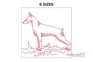 Doberman Dog