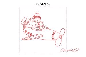 Pilot with Plane