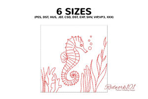 Seahorse Underwater Scene