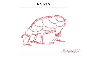 Sheep Grazes in Meadow