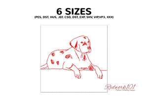 American Leopard Hound Dog