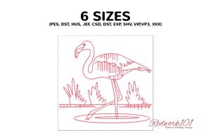 Flamingo Standing in water