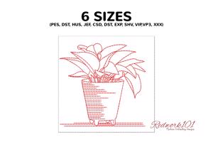 Aquarius plants