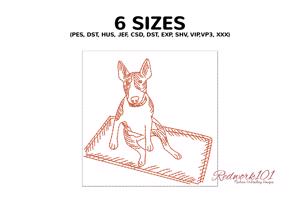 Bull Terrier Gazing
