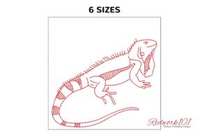 Iguanidae