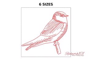 American Cliff Swallow