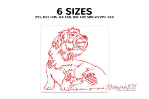 Seated Dandie Dinmont Terrier