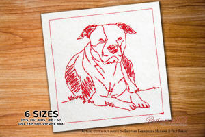 American Staffordshire Terrier Dog