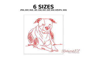 American Staffordshire Terrier Dog