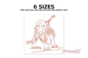 Basset Hound Dog with Leash
