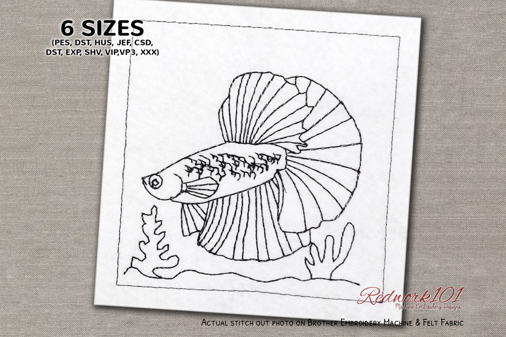 Enchanting Siamese Fighting Fish
