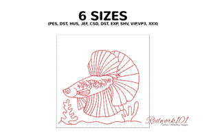 Enchanting Siamese Fighting Fish
