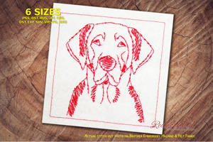 Broholmer Dog Head Study