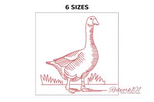 Goose Walking on grass