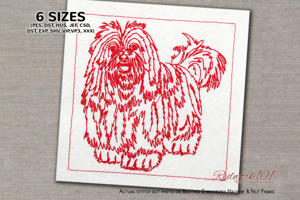 Havanese Dog