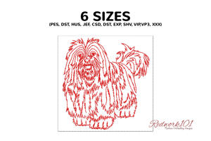 Havanese Dog