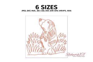 Basset Hound Dog