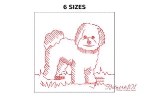 Bichon Frise Dog