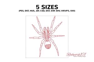 Wolf Spider